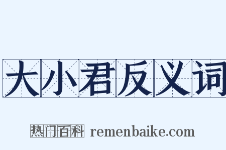 大小君反义词是什么意思的图片